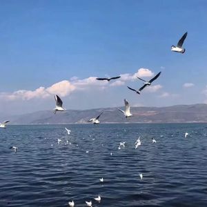 黄色片在线免费观看
